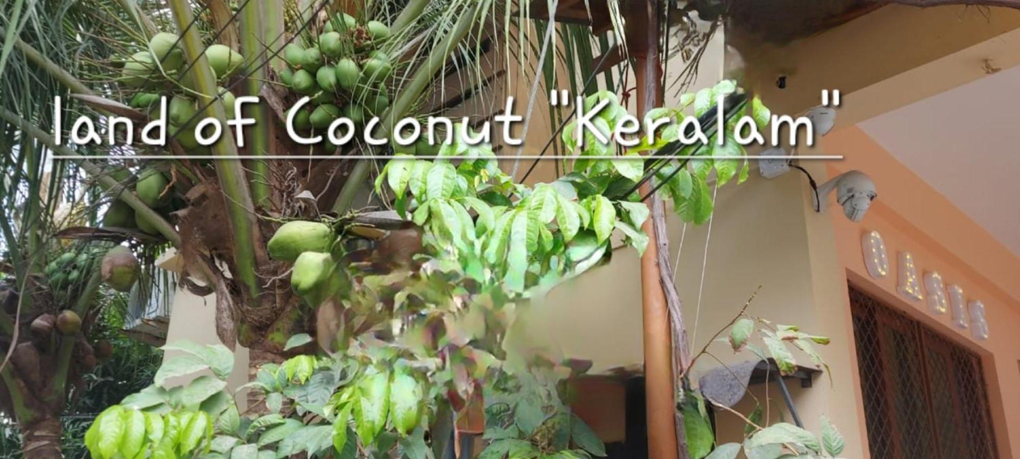 Oasis Homestay Kochi Buitenkant foto